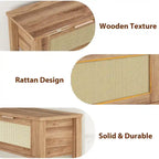 Console Table with Rattan and 2 Drawers